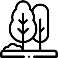 tree-care-icon